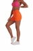 SHORT LUPO BASIC - FEMININO